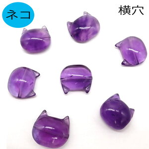 At^[SALE N[|lR r[Yi1jyAWXgz 2 a p[v L  p[Xg[ VR i`Xg[ tFCX J{V  Ղ ɂ L