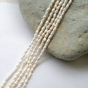 20%It X[p[SALEy253. Wp[ CX^ r[Y A zzCg2-2.3mm@36cm W^ 