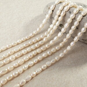 yW^ 4×6mmzzCg CX VRp[r[Y 34cmA nhCh ANZT[p[c