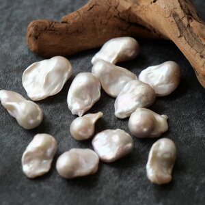 yWp[ [XzobNp[ 1 S/M/LTCYI nhCh ޗ VR {^