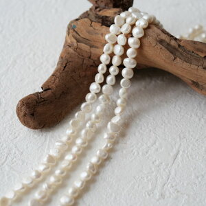 yWp[ CX^ 5`7mmzA nhCh ^ obN r[Y VR ANZT[