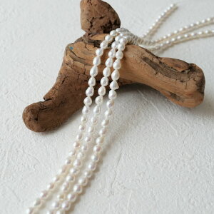 yWp[ CX^ 5`6mmzA nhCh ^ obN r[Y VR ANZT[