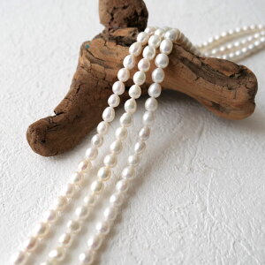 20%ItN[| 48Ԍ聚yWp[ CX^ 6`6.5mmzA nhCh ^ obN r[Y VR ANZT[