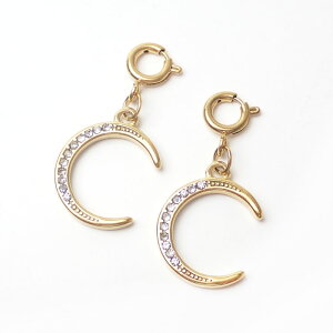 10%ItN[| 11/1܂ŁXeX O `[ S[h ֕t AM[Ή WRjAt y_ggbv