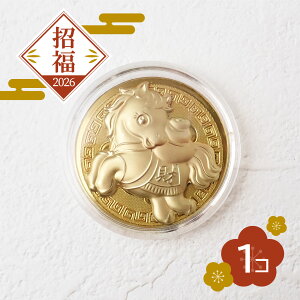 20%ItN[| 48Ԍ聚y2026Nz N  ftH 킢 S[h _ LORC  n