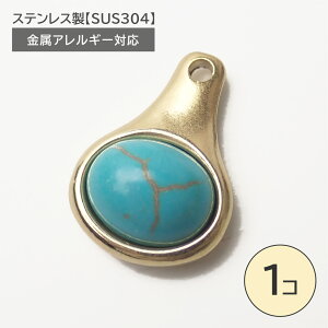 20%ItN[| 48Ԍ聚XeXySUS304z AM[Ή ^[RCY `[ S[h ^ VR p[c 