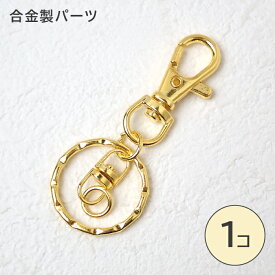 キーホルダーパーツ 【Dカン クサリ付き】1個売り 真空メッキ 変色しにくい バッグチャーム