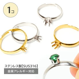 店内全品P3倍★72時間限定★サージカルステンレス 【 リング台 6本爪 1個売り 】 指輪 フリーサイズ 石枠 空枠 台座 パーツ SUS316