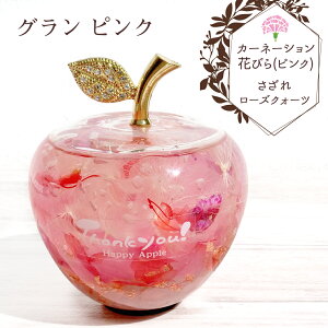 tMtgyz̓ v[g J[l[V n[oE yyVLO1ʁzMtg { Apple gem i KX LL Y  VR Abv S  