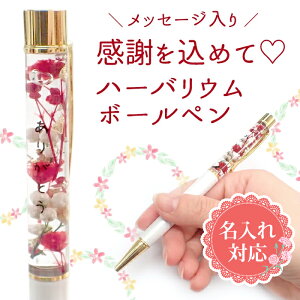 P5{MAX20%ItN[|yizn[oE{[y y肪ƂzbZ[W pP[Xt y[֑zyr[N[|Ώہzo^C zCgf[ 