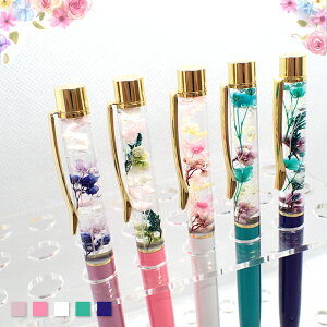 72hyP5{z15%ItN[|yizn[oE{[y (J) pP[Xt y[֑z yr[N[|Ώہz t[ v[g Mtg ЊǗ  