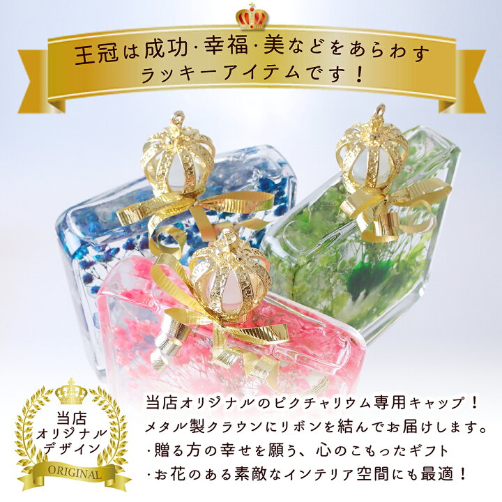 楽天市場 ハーバリウム 送料無料 Picturerium 王冠デザイン あす楽 最短当日発送 楽天ランキング1位 母の日 父の日 バレンタイン 敬老の日 薄型 プリザーブドフラワー レビュークーポン プレゼント ギフト 誕生日 結婚祝 花束 薔薇 記念日 退職 卒業 入学