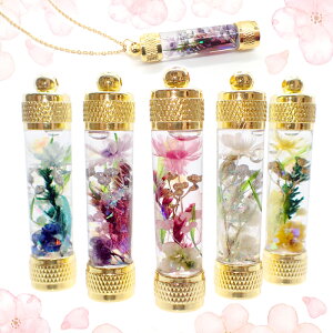 20%It X[p[SALEn[oE`[ yi ETCYz ۃJt ANZT[ y_ggbv lbNX Y ЃIWii v[g Mtg j i 