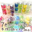 MAX20%オフクーポン ★7/20まで★ハーバリウム 手作りキット【6】【1本売り】 説明書付 母の日 ギフト 工作キット【楽…