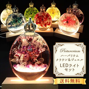 10%ItN[| 11/1܂Łn[oE LEDCg Zbg ̓ Mtgyz iy5zI[o VR΁hbv`[ sN`E NX}X v[g a j 