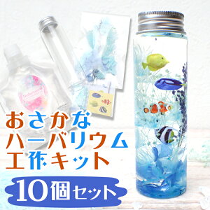 ċx HLbg C̐ n[oE 10{Zbg t ܂Ƃߔ  C Lbg ȒP  H Lbg ̎q j̎q  Mы  CJ yM E~K