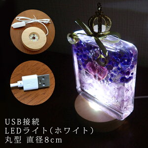 USBڑ ON/OFF XCb`t ؐ(aF8cm) LEDCgizCgjn[oE  Xe[W ]  ~ ~` ی^ X^h Ɩ  {g NX^ tBMA ANX^  fB