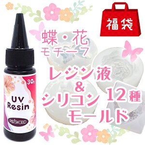  2025 Wt VR[h12_Zbg 5,643~25It   t t[ W VR[h [h KN TVF Lh KN a a 傤 `E` 