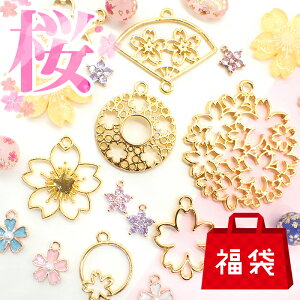  2025 ACeZbg 3,500~20ItyACe60ȏz  TN   t[ ^t[ Wt[ `[ r[Y vg  a  w U 