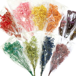 50%オフ 半額 スーパーSALE延長★期間限定★特価【110. ドライフラワー 束】1本 ハーバリウム レジン アロマワックス サシェ ブーケ 花束 かすみ草 カスミソウ 小さめ 花材 ハンドメイド 国内