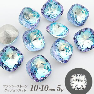 t@V[Xg[ 5 y01-21. NbVJbg 10×10mm CgCNu[ z I[HȂ CXg[ VJbg tHCobN rW[ fR lC W O[  