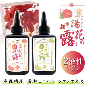 2t Wt y[֑z 300g zԂ̘I RXpi e t n[h^Cv NX^ nhCh WNtg ЊǗ 