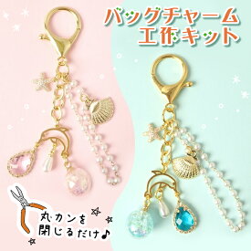 【急ぎ発送対応中】イルカのバッグチャーム 工作キット【1個】 説明書付き 手作りキット 子供向け 初心者向け キーホルダー 工作セット 丸カン・チャーム付き 簡単ハンドメイド 小学生 夏休み工作 夏休みの宿題 自由研究 イベント ワークショップ