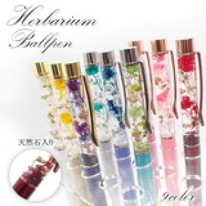 72hyP5{z15%ItN[|݌ɒpyizn[oE{[y () pP[Xt