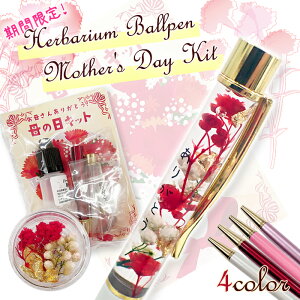 10%ItN[| 11/1܂Ły2024̓zy߂܂er C}hL Љ Kiz yr[N[|Ώہz n[oE{[yy̓Lbgz n[oE v[g  Mt