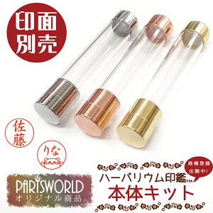 yʕʔzn[oE  (XIWii) n[oE͂ Ԉ Mtg v[g nR q (Wo^o蒆)  hCt[ vU[uht[ DIY 