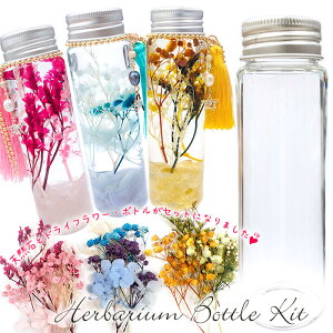 10%ItN[| 11/1܂ŁVR΃n[oE {gLbgy3fUCz  t[ {g n[oELbg VR nhCh VR [YNH[c u[[XAQ[g V