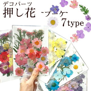 ドライフラワー 赤の人気商品 通販 価格比較 価格 Com