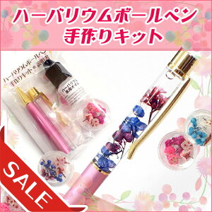 20%ItN[| 48Ԍ聚yCPzn[oE{[yLbg yr[N[|Ώہz n[oE {[y t[y hCt[ v[g  Mtg  zC