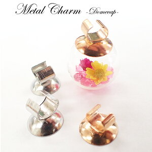 P5{MAX20%ItN[|^`[y212. h[Lbv  10z KXh[ {[  r[Y wAS  ZbeBO  W Xm[h[ W ӂ Xq  DI