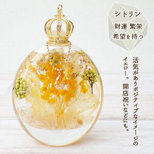 At^[SALE N[|̓ n[oEyz iy5z MtgyyVLO1ʁzI[o VR΁hbv`[ 7J[ NX}X sN`E v[g h