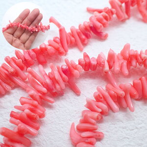 10%ItN[|18聚y13zTSr[Y (F) }r[Y F 1AyS1Fz#2 }X TS R[ `bv TU  sN X r[Y p[c VR nhCh f ޗ