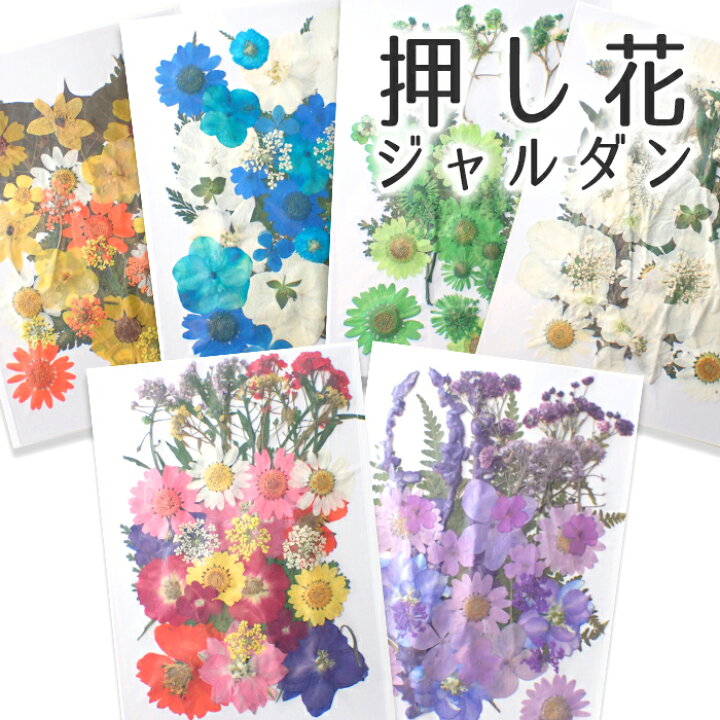 市場 押し花パーツ 花 パープル レッド ドライフラワー 5タイプ バラ ピンク 紫 薔薇 カラフル 1 押し花アソート 赤