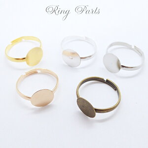 10%ItN[| 11/1܂Ły31.O 10mmMt 5J[z 5 t[TCY w p[c nhCh DIY 