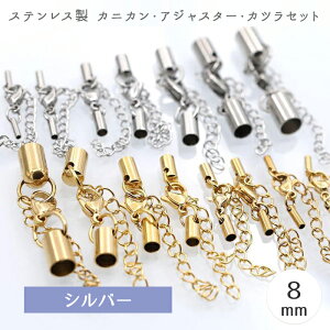 20%ItN[| 48Ԍ聚yCzy05zVo[ 8mm XeX JjJEAWX^[EJcZbgy1z ߋ Zbg  ߋ R Ghp[c nhCh AN