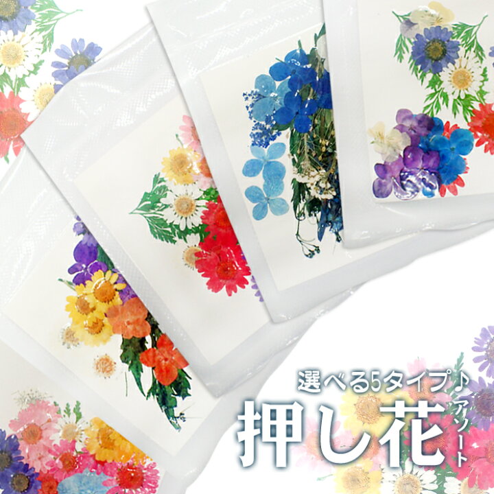 楽天市場 押し花パーツ 1 押し花アソート 5タイプ 花 ドライフラワー 薔薇 バラ 赤 レッド ピンク 紫 パープル カラフル アソート 貼り絵 コラージュ ハーバリウム 高品質 真空パック 花材 材料 素材 国内発送 Partsworld パーツワールド