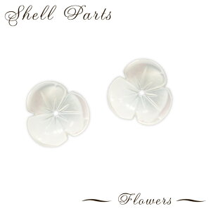 20%ItN[| 48Ԍ聚VFp[c t[y41z1  TN t[ p[c p[c nhCh Eh Ip[  l L t DIY 