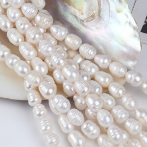 20%It X[p[SALEy191. Wp[ r[Y CX^ 8×12mmz Ai18cmjzCg  W^