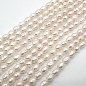 20%It X[p[SALEy198. Wp[ r[Y CX^ 4×5mmz 1Ai34cmjzCg  W^