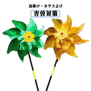 LL ObY 炷 悯 JX΍ JX悯 6Zbg K[fjO co΍  悯 Qb΍ Q΍ hb GR ΍ x_ v^[  悯 O 