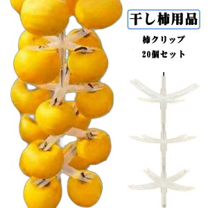 nK[ ݂邵`pbN y20z` \^`z_[ `Nbv ƒp  Nbv ʂ̊`ƂƂĂȒPɁI`݂邵 pi `80 ` ݂邷 