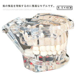  ׋  ͌^ ̖͌^ NjbN ͌^     f J  o͌^  l̖͌^     wK p CeA u W{  ͌^ } w 