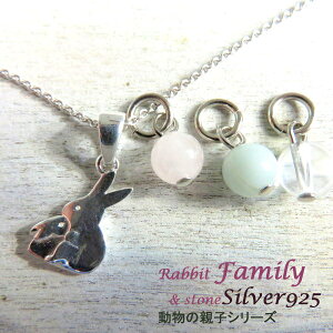 y_g Aj} t@~[ ETM Vo[ 925 ʐ^ lbNX   oYj LO a v[g X^[OVo[ Mtg  蕨 e SV925 ␻ NX}X 