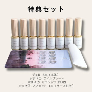 Clear Mag 8�F�}�O�l�b�g�Z�b�g�bMotto Collection �}�O�l�b�g�W�F��