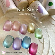 【クーポン発行中】再入荷特典付き 4ミクロン 水光ネイル うるうるマグネット 水光 マグネット マグ マグ…