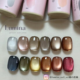 【クーポン発行中】特典付き 4ミクロン 水光ネイル うるうるマグネット 水光 マグネット マグ マグネットネイル | ジェルネイル ネイル ジェル マグネットジェルネイル カラージェル UV LED対応 シアー ネイルスタイル マグネットジェル